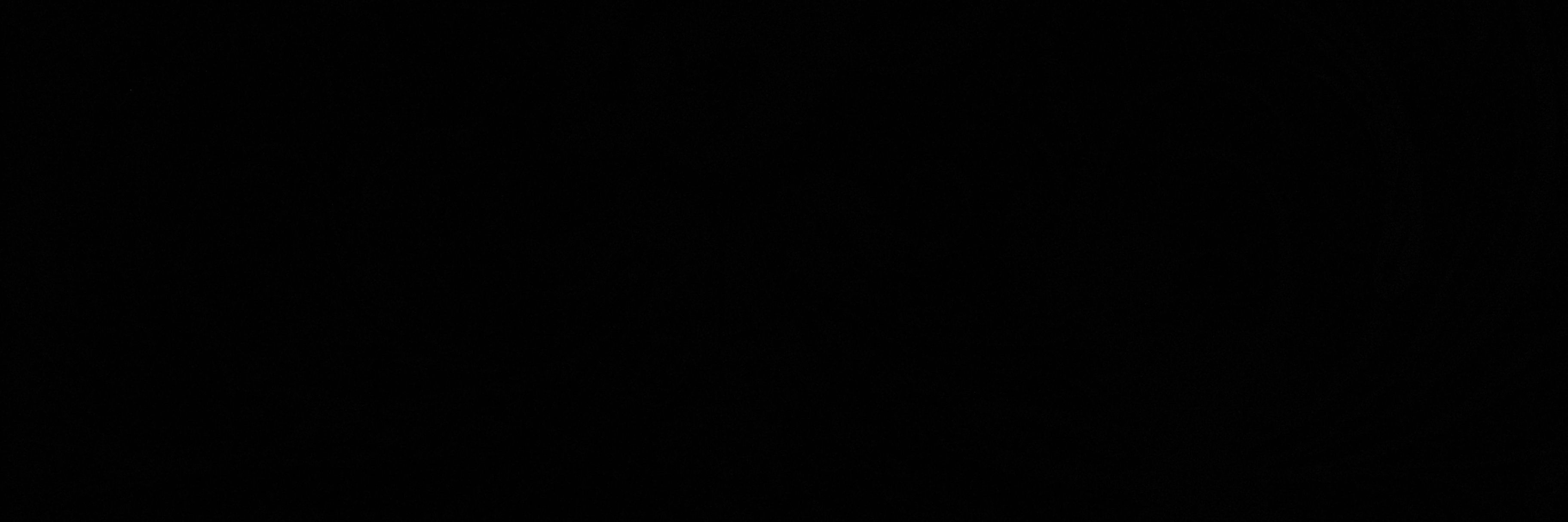 francesca barca banner