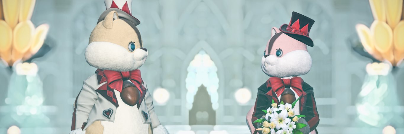 ✴︎Ma Ri✴︎8/2コスサミ's banner