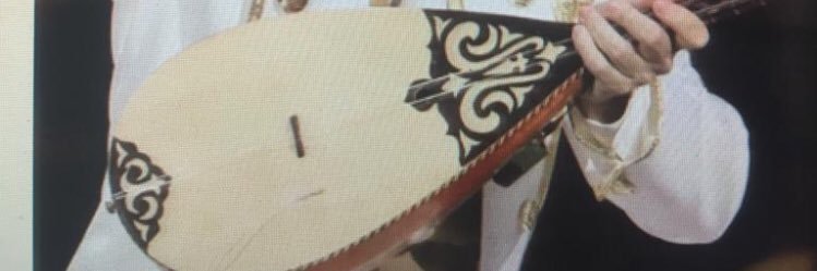 Vered7 banner