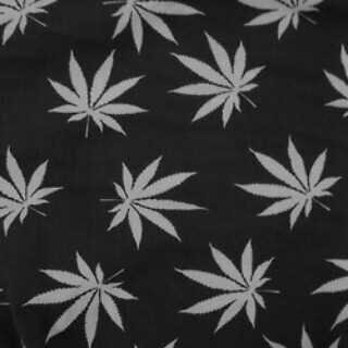 RaajMafia's profile banner image