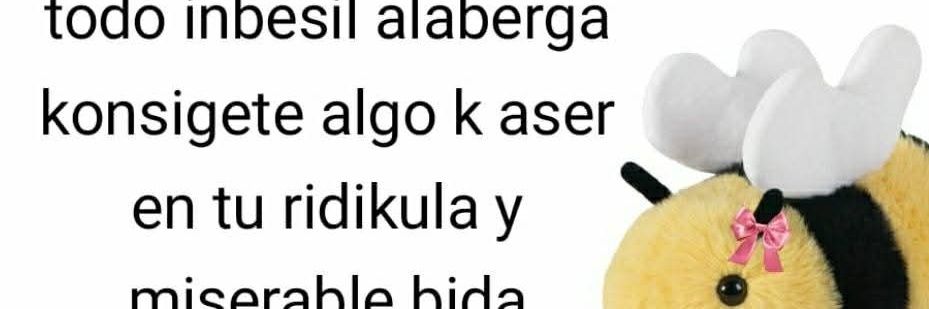 𝒰𝒻𝑜𝓈𝒶𝓊𝓇𝓊𝓈 𝒷𝒷 banner