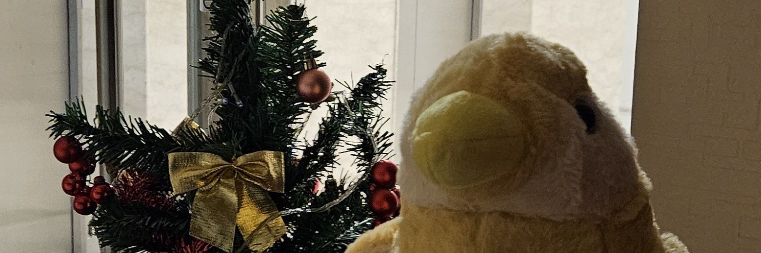 COMMS OPEN レモネース 【海GUYS】 banner