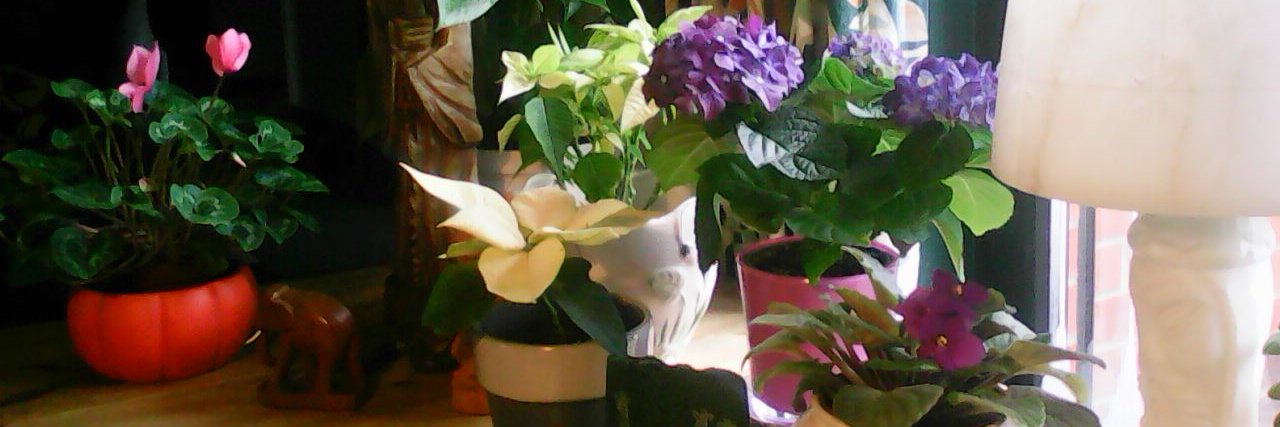 LePlanBduCartel banner