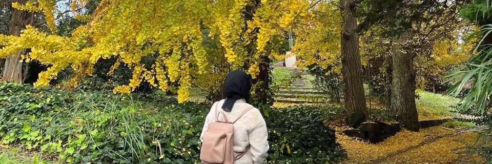 dz_rie's profile banner image