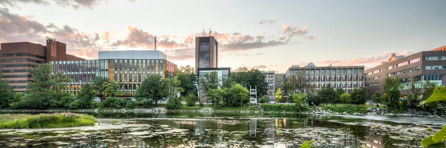 Feminist Institute of Social Transformation (FIST) banner