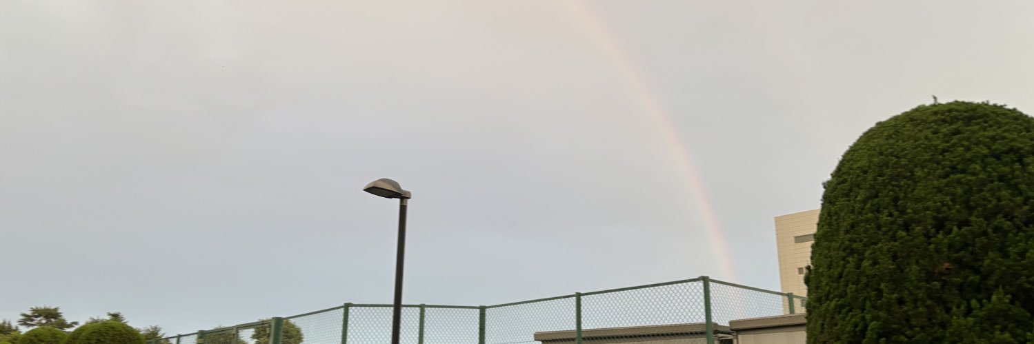 ルネのエンジニア@ゴキブリ社員 banner