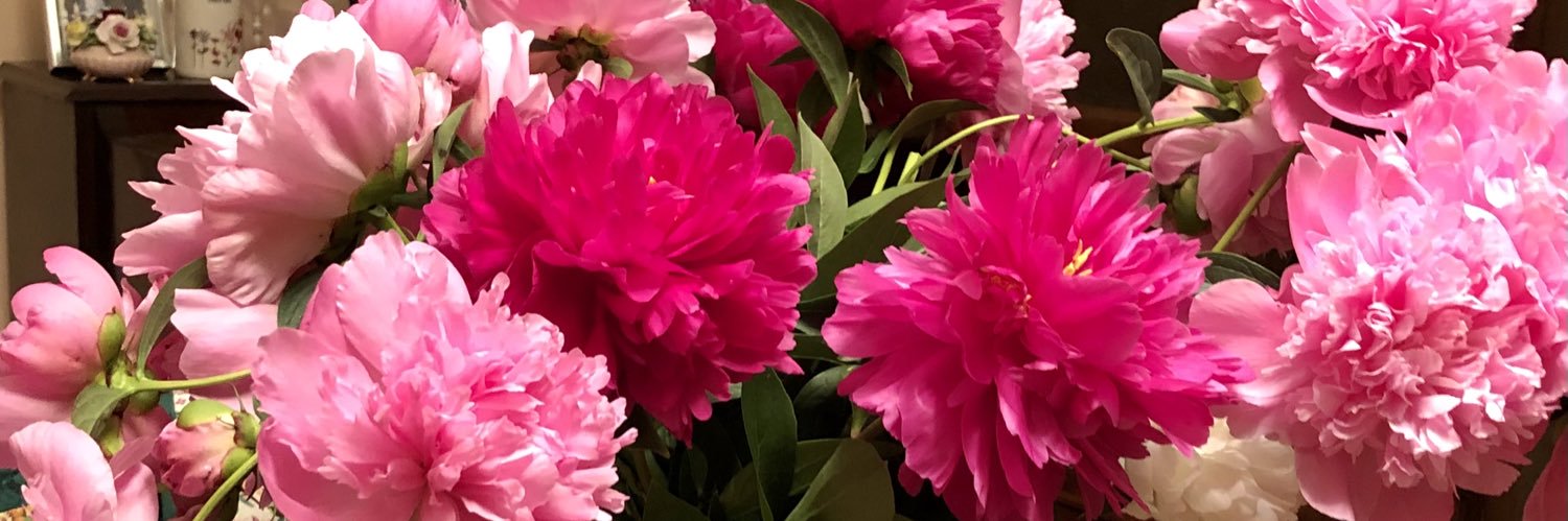 Amy Struthers banner