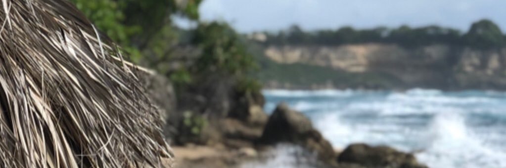 Fernando Suarez G banner