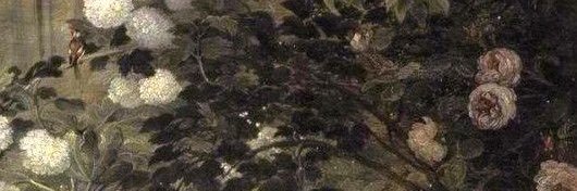 daiisyscott's profile banner image