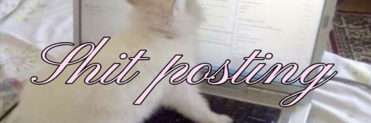 sandrbina's profile banner image