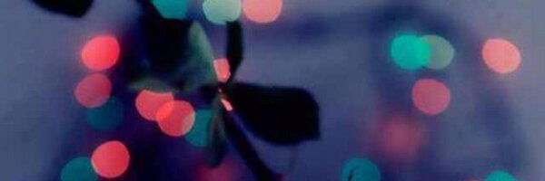 Maha031 Profile Banner