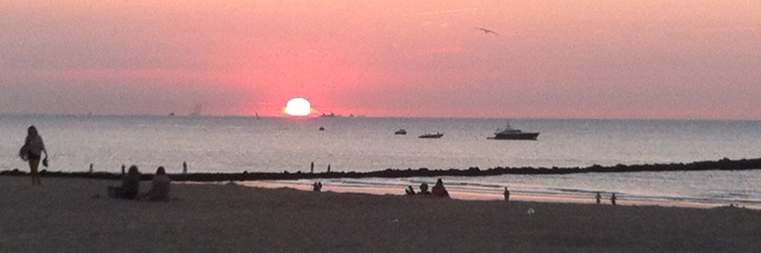 Vincent Slits banner