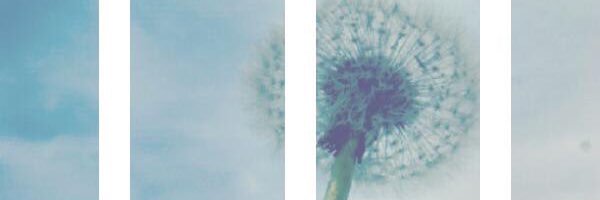 twerkteamnarry's profile banner image