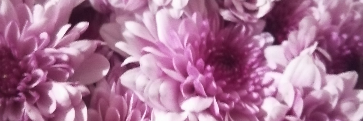 martha_gala's profile banner image