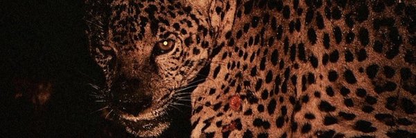 RodSmithJr4 Profile Banner