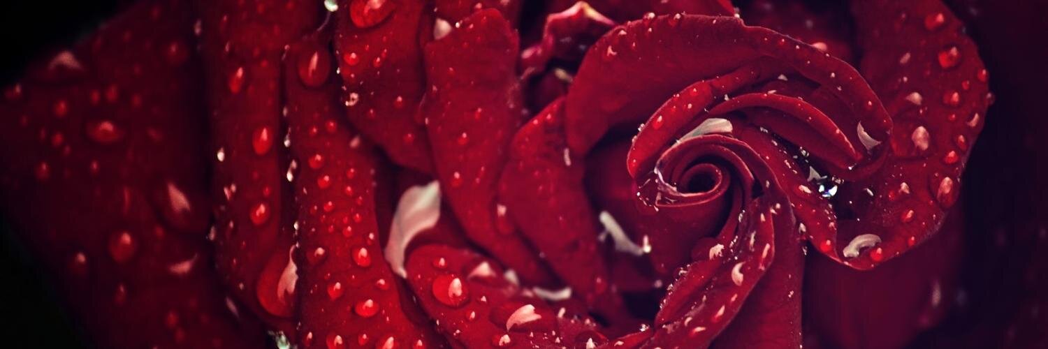 EveInHellion's profile banner image