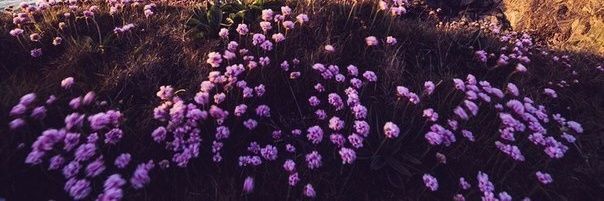 1999gusak's profile banner image
