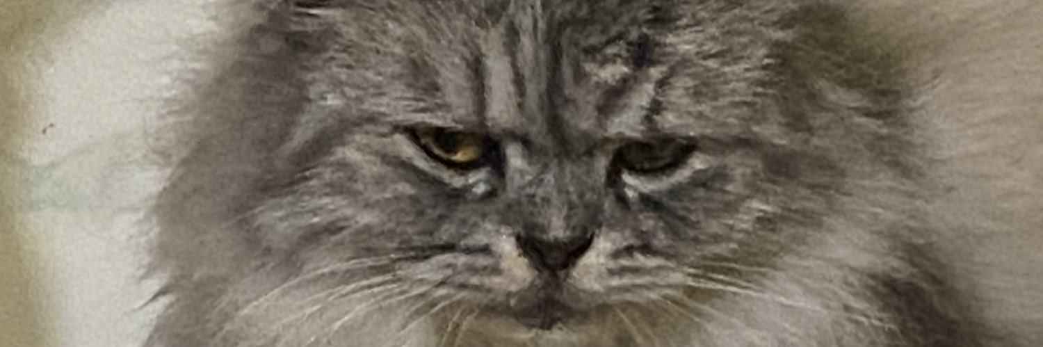 ngecesssss's profile banner image