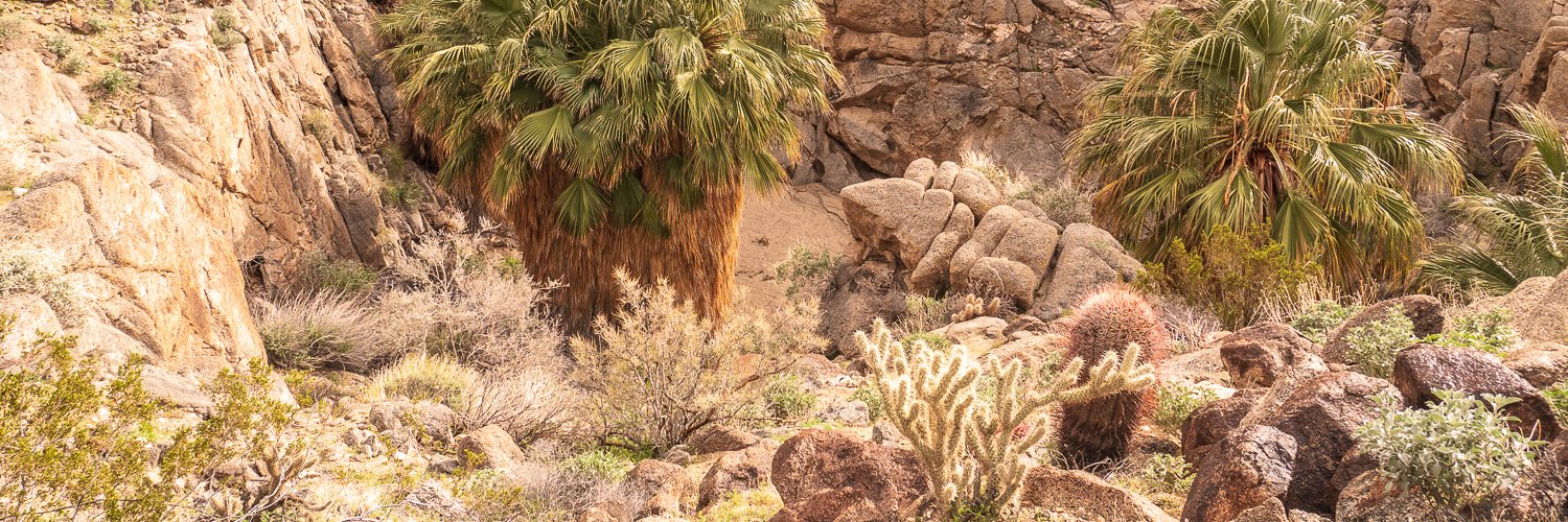 CactusToCloud Institute banner