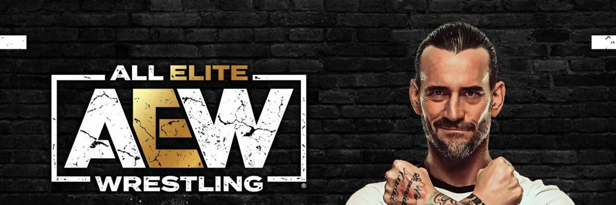 I’m Back (NOT CM Punk) banner