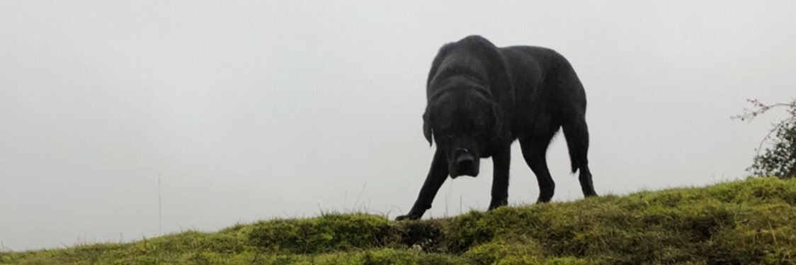 petemcgarr's profile banner image