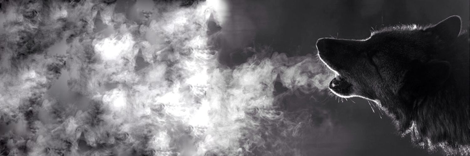 a1varu's profile banner image