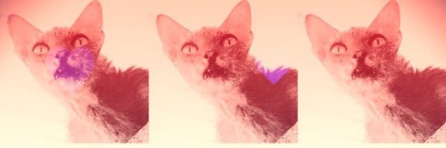 Topuzzo & Co. banner