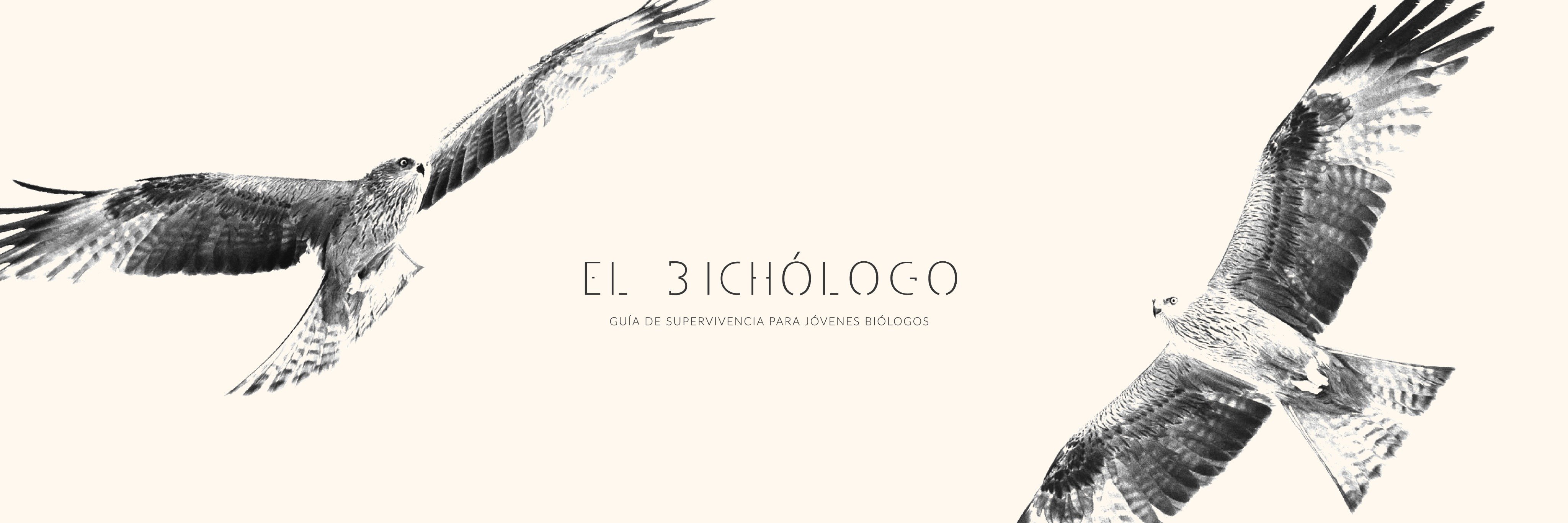 bichologo's profile banner image