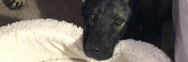 Goodheartless1 Profile Banner
