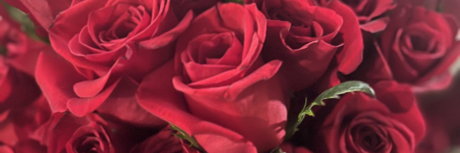 blurrrrr banner