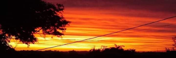 SilvanaCampos's profile banner image