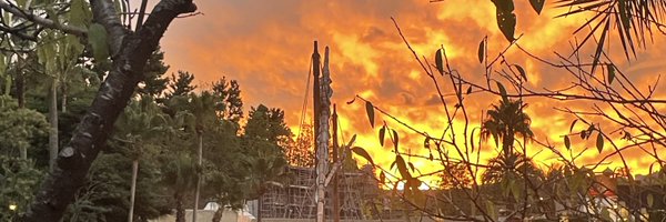 aki19920223 Profile Banner