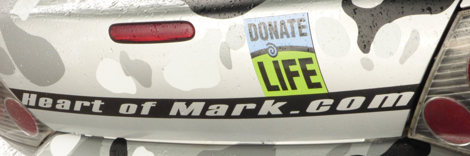 marksandy0's profile banner image