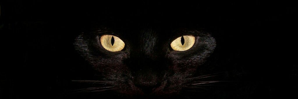 hp_ernesto's profile banner image