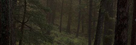 leyshhh_g's profile banner image
