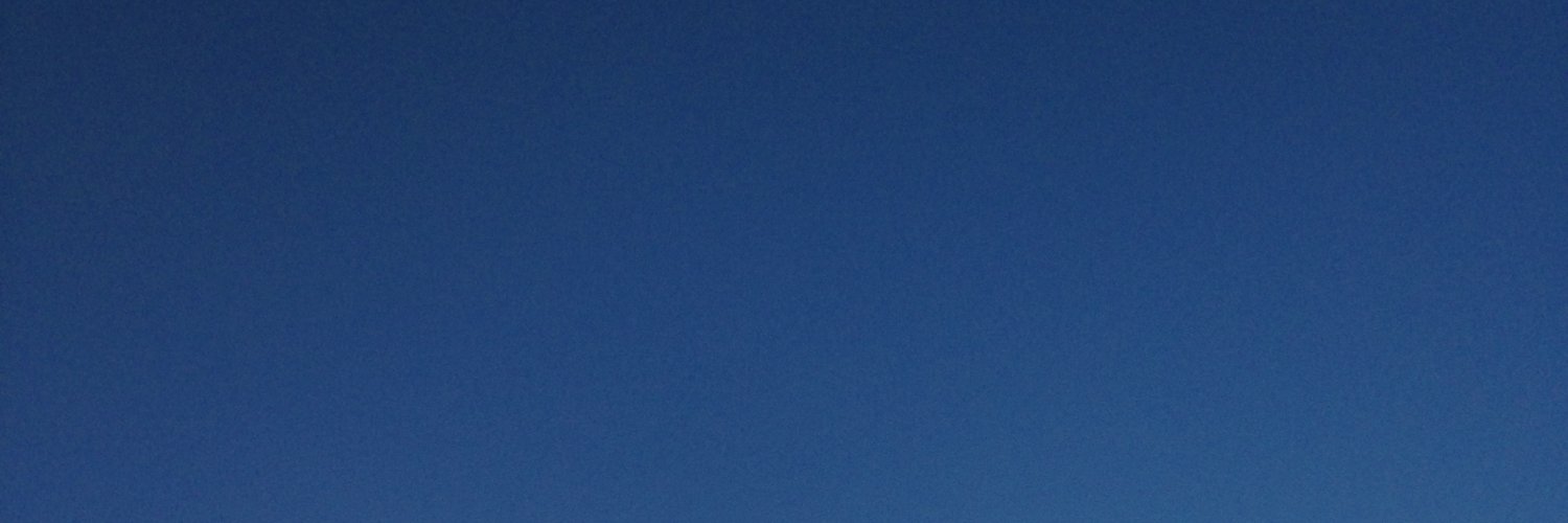 LuMeLe2020's profile banner image