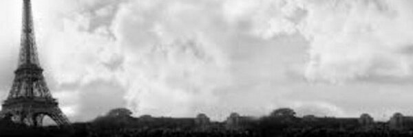 danielleonbraca Profile Banner