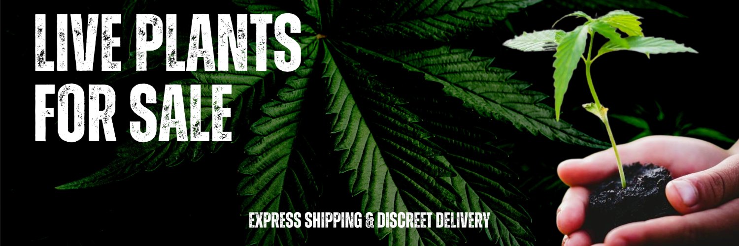 Burning Bush Nurseries - Marijuana Clones & Seeds banner