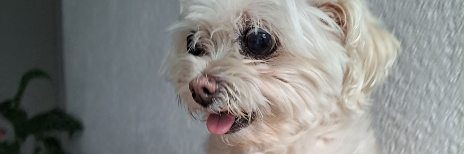AleeLozaa's profile banner image