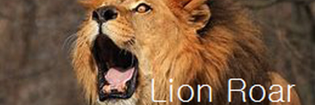naban21's profile banner image