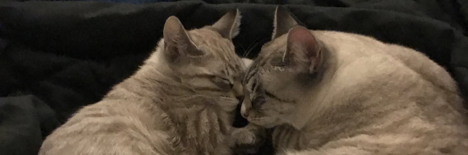 OddJoey's profile banner image