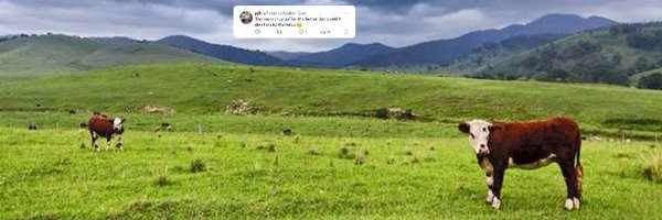 DarylTractor Profile Banner