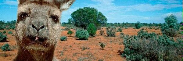 AndrewReuter_4's profile banner image