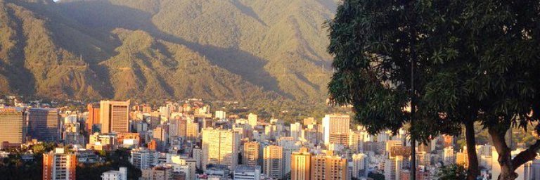 nelson_1b's profile banner image