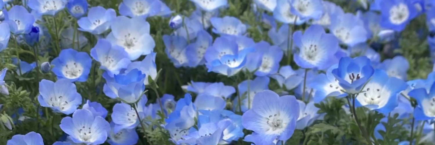 si00___'s profile banner image