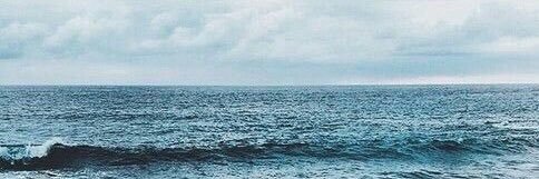 Walter L. Hoyle banner