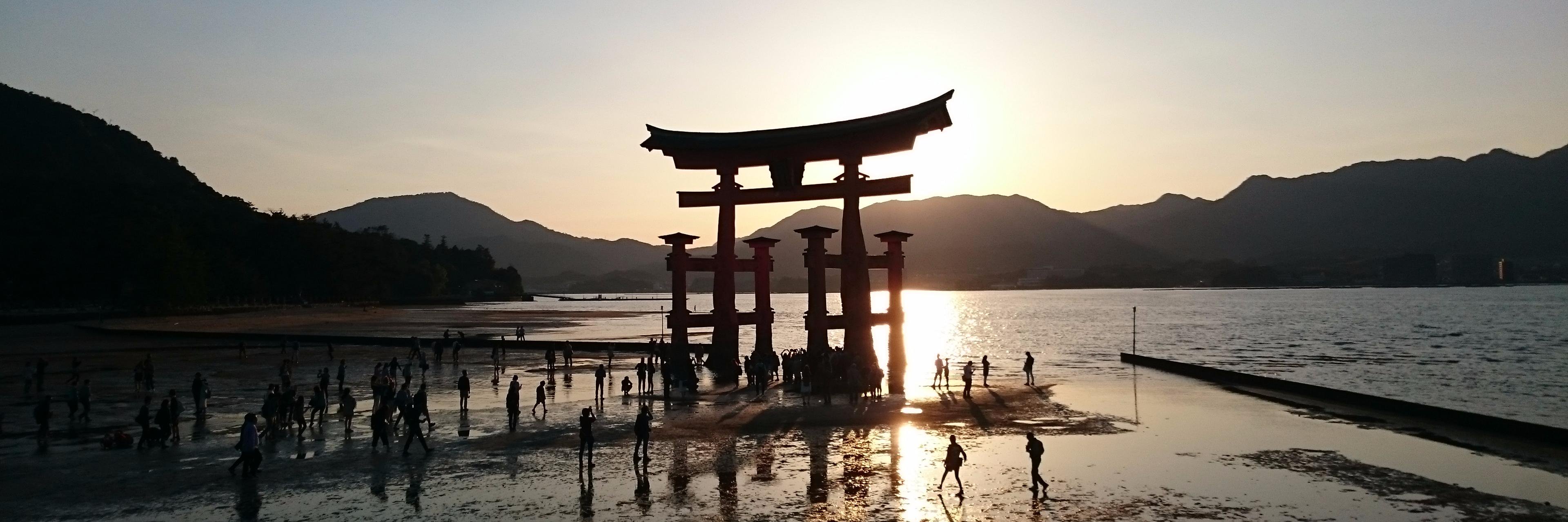 LimShadyTV's profile banner image