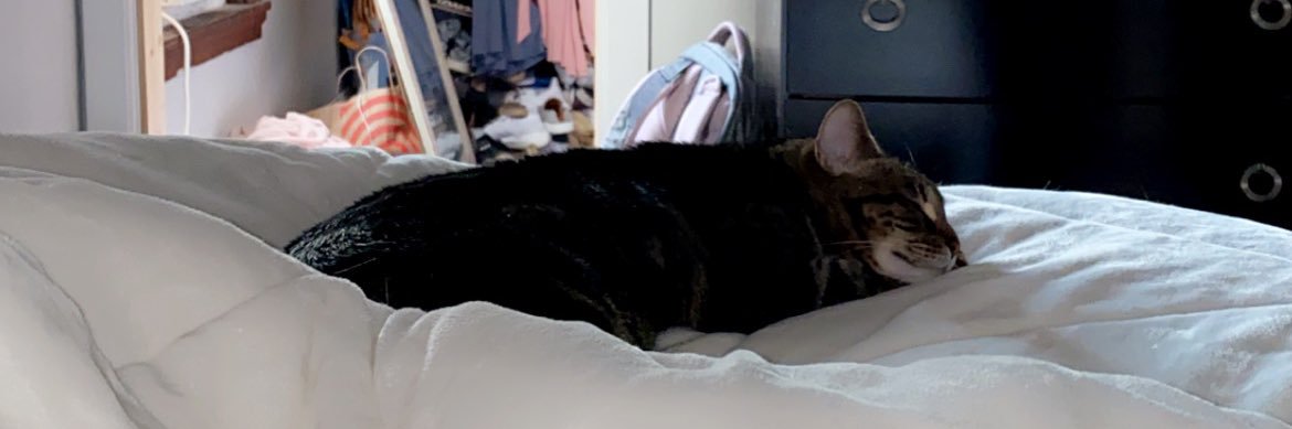 LexieBudzinski's profile banner image