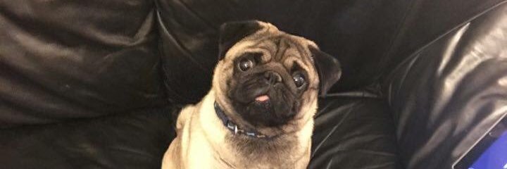 andrew7ddf's profile banner image