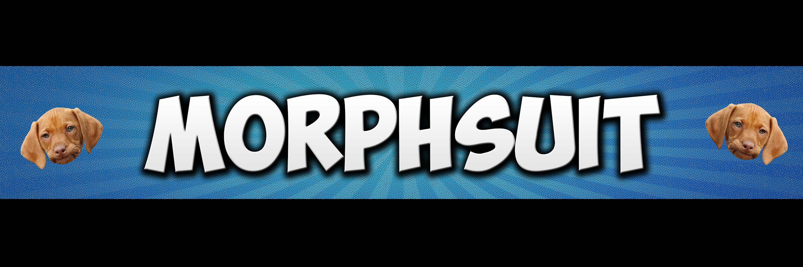 Morphsuit's profile banner image